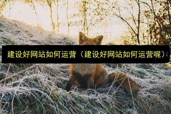 文章配图