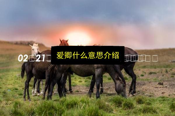 文章配图