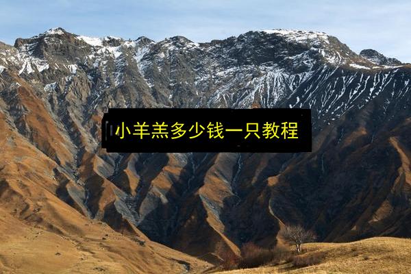 文章配图