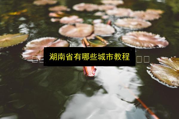 文章配图
