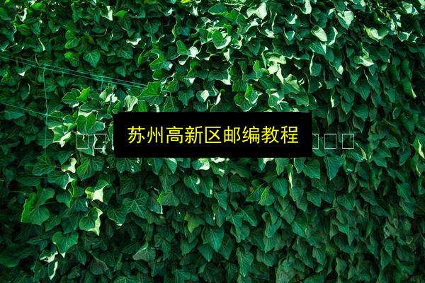 文章配图