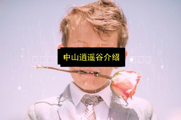 文章配图