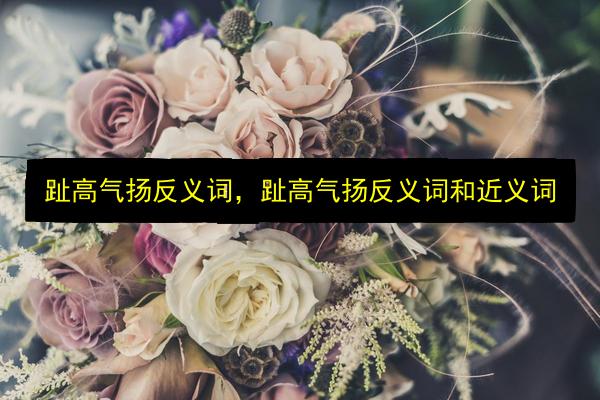 趾高气扬反义词,趾高气扬反义词和近义词插图 文章配图