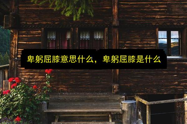 卑躬屈膝意思什么,卑躬屈膝是什么插图 文章配图