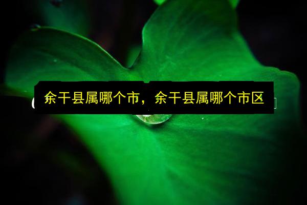文章配图
