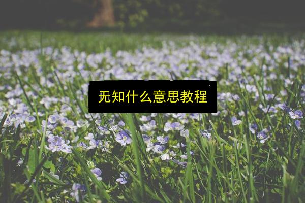 文章配图
