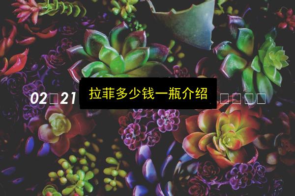 拉菲多少钱一瓶介绍插图 文章配图