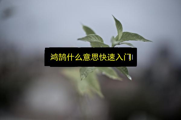 鸿鹄什么意思快速入门插图 文章配图