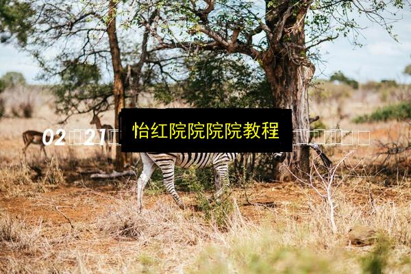文章配图