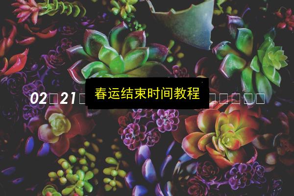 文章配图