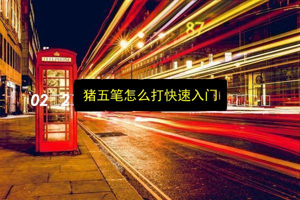 猪五笔怎么打快速入门插图 文章配图