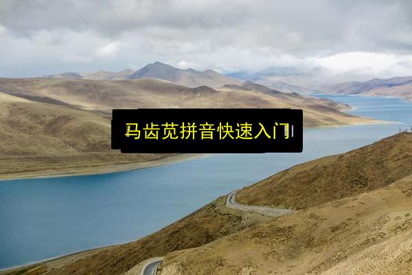 马齿苋拼音快速入门插图 文章配图