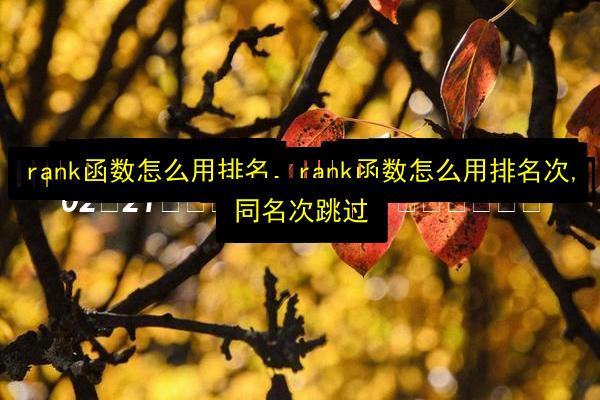 文章配图
