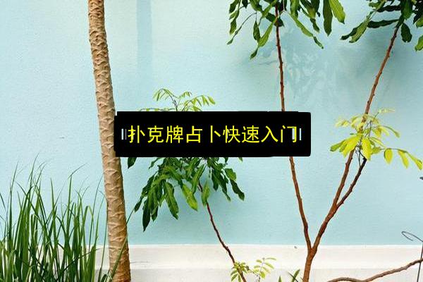 扑克牌占卜快速入门插图 文章配图