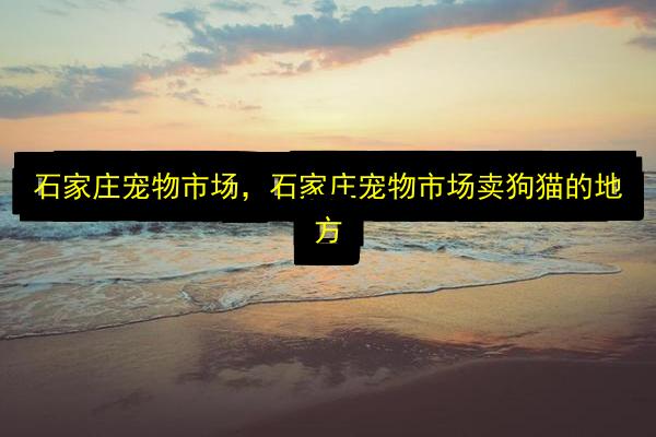文章配图