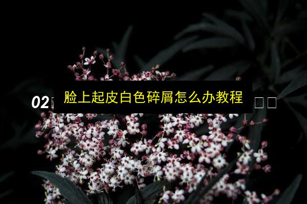 文章配图