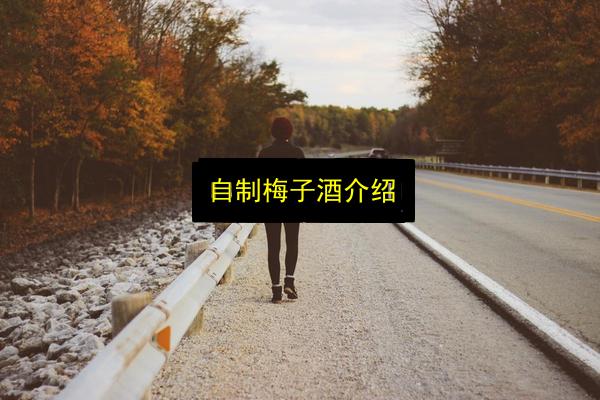 自制梅子酒介绍插图 文章配图