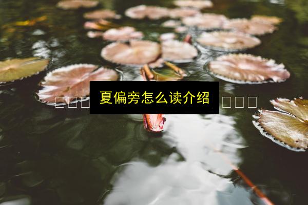 文章配图