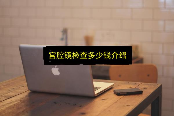 宫腔镜检查多少钱介绍插图 文章配图