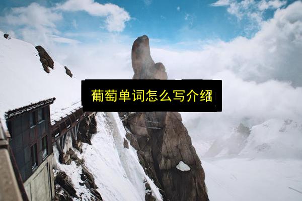 葡萄单词怎么写介绍插图 文章配图