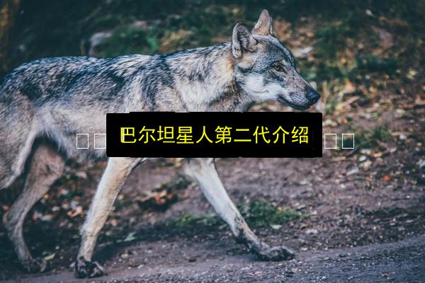 巴尔坦星人第二代介绍插图 文章配图