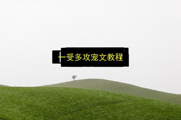 文章配图