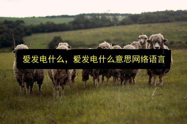 文章配图