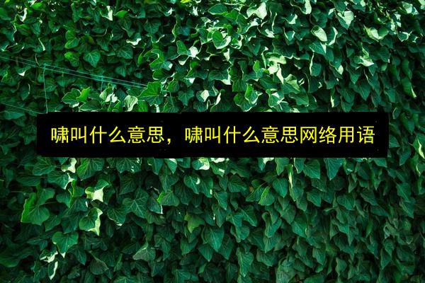 文章配图