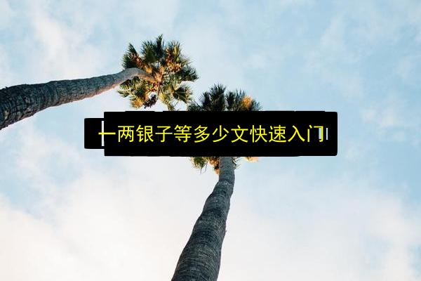 一两银子等多少文快速入门插图 文章配图