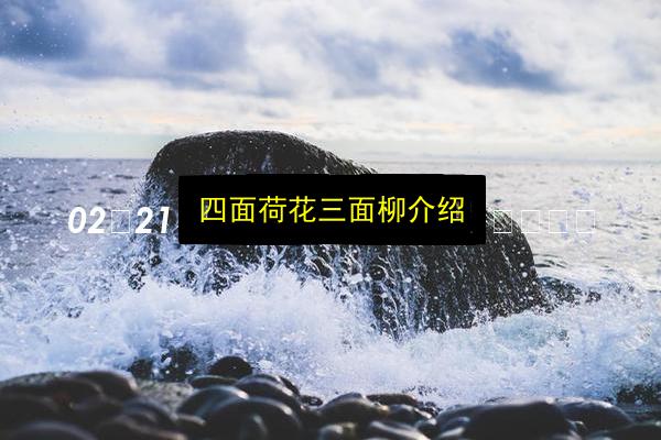 文章配图