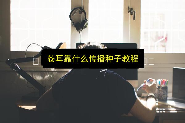 文章配图