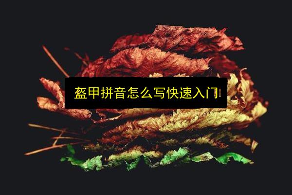 文章配图