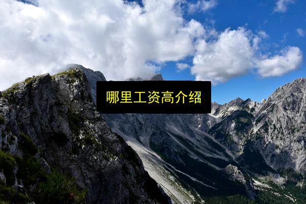 哪里工资高介绍插图 文章配图