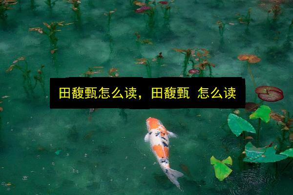 田馥甄怎么读,田馥甄 怎么读插图 文章配图