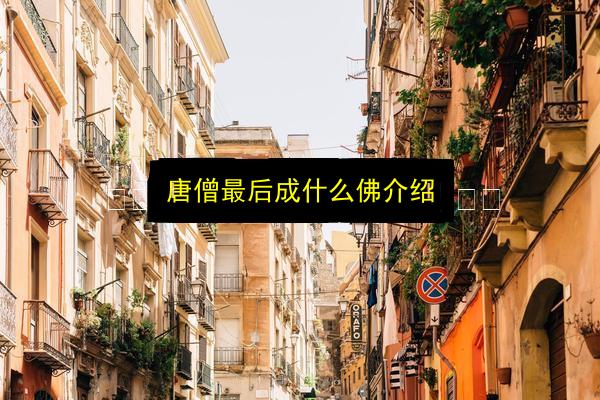 唐僧最后成什么佛介绍插图 文章配图