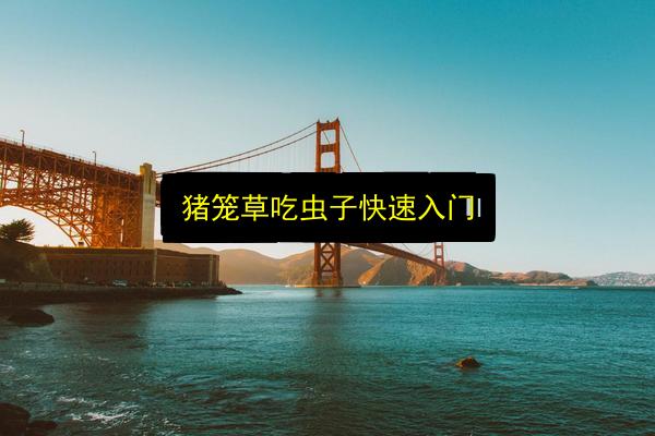 猪笼草吃虫子快速入门插图 文章配图
