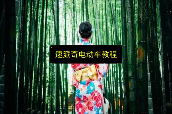 速派奇电动车教程插图 文章配图