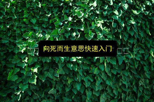 文章配图