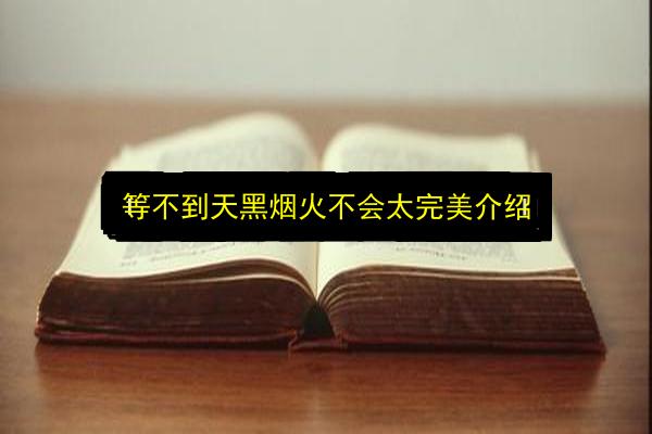 等不到天黑烟火不会太完美介绍插图 文章配图
