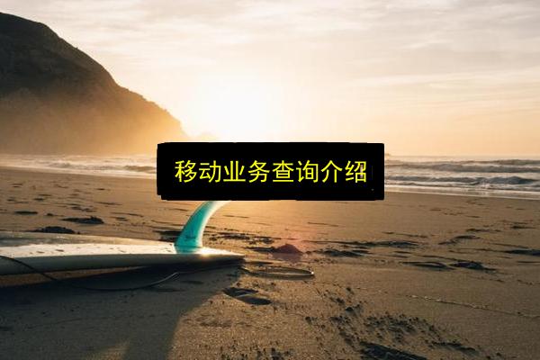 移动业务查询介绍插图 文章配图
