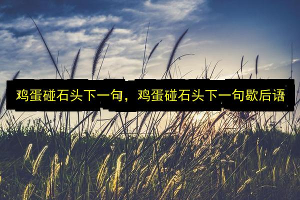 鸡蛋碰石头下一句,鸡蛋碰石头下一句歇后语插图 文章配图