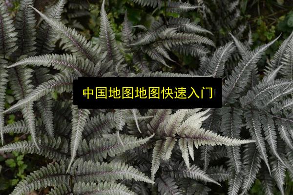 中国地图地图快速入门插图 文章配图