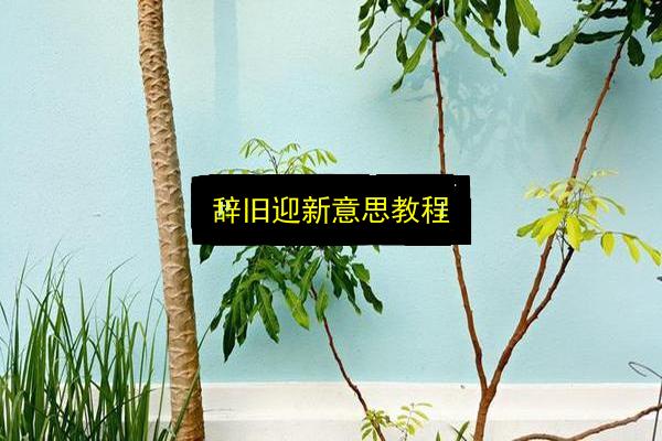 文章配图