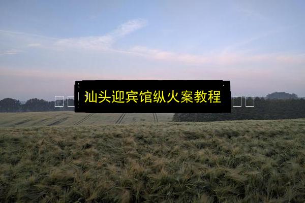文章配图