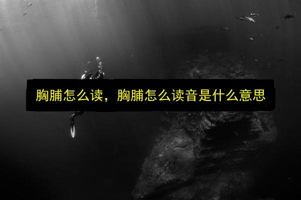 文章配图
