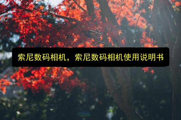 索尼数码相机,索尼数码相机使用说明书插图 文章配图
