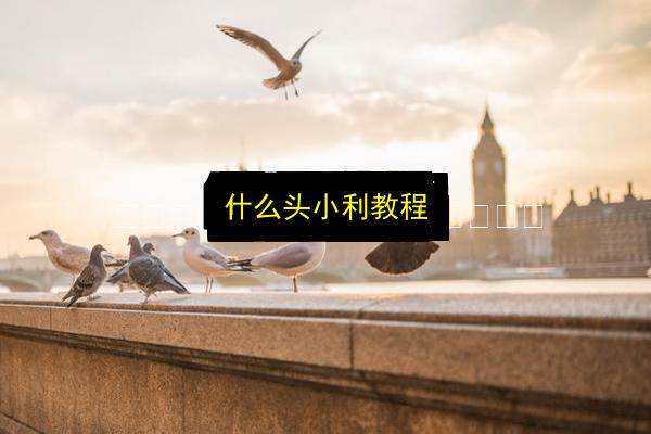 什么头小利教程插图 文章配图