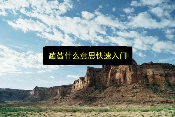 菡萏什么意思快速入门插图 文章配图