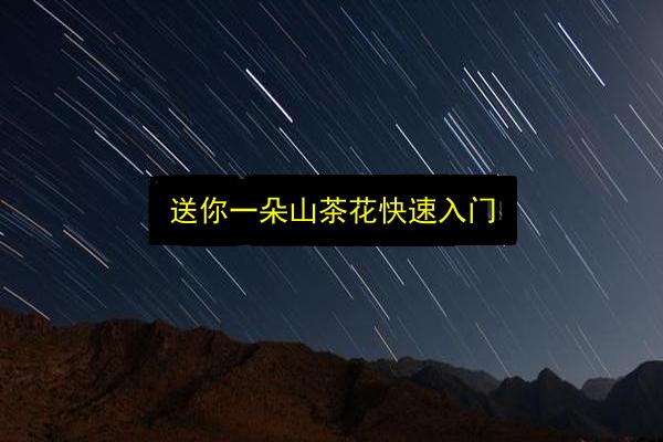 文章配图
