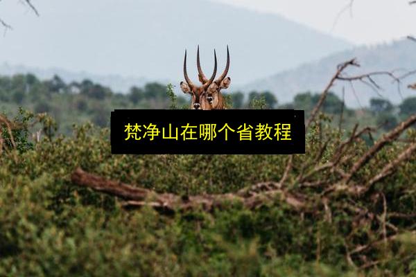 梵净山在哪个省教程插图 文章配图